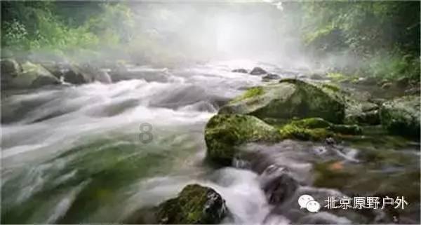 逗小猴开心系列188